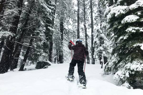 Snowshoeing
