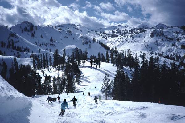Winter Activities