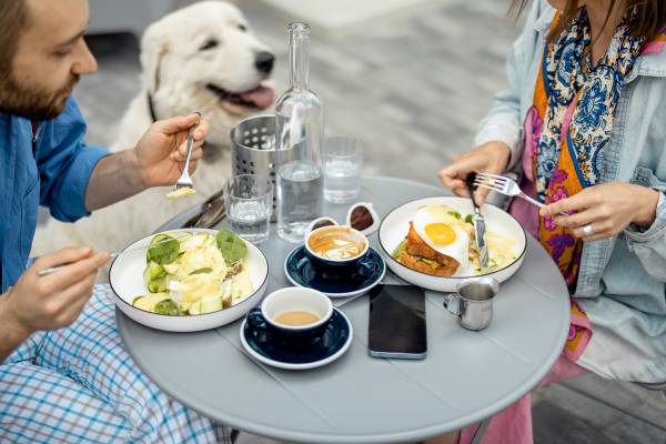 Dog Friendly Restaurants