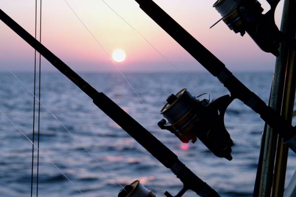 Fishing Guides & Operators