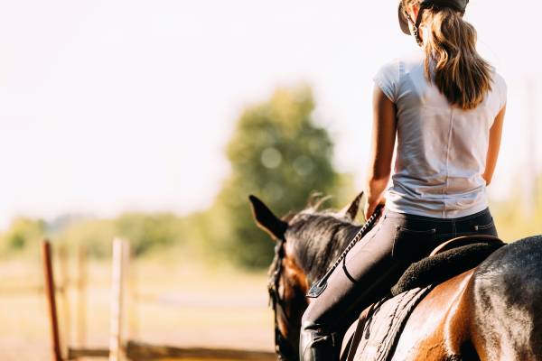 Horseback Riding - Lake Tahoe