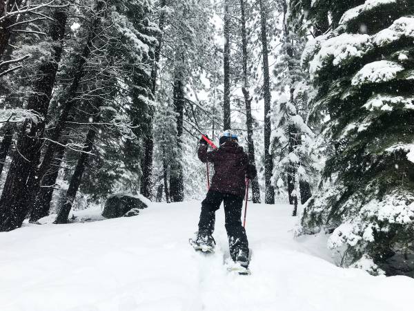 Snowshoe Tahoe